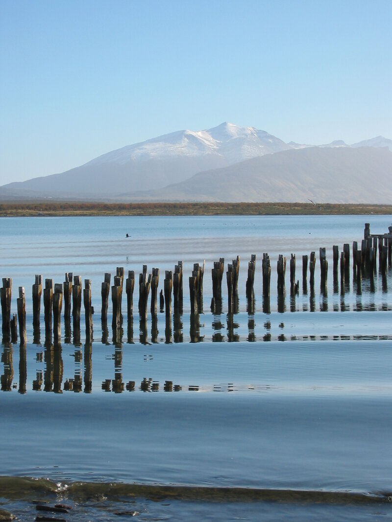 Immersion en Patagonie chilienne
